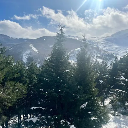 En Con Vistas